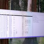 new-app-transforms-terminal-into-live-network-monitoring-dashboard