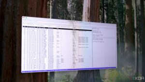 new-app-transforms-terminal-into-live-network-monitoring-dashboard