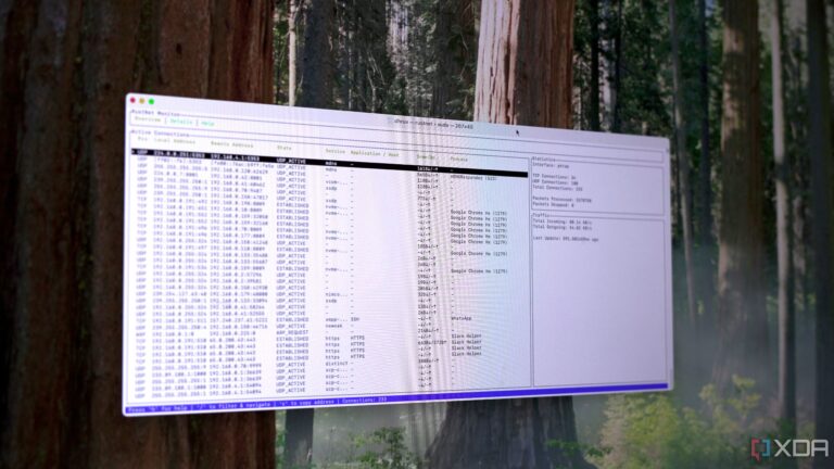 new-app-transforms-terminal-into-live-network-monitoring-dashboard