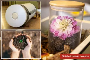 new-jersey-approves-human-composting-as-burial-alternative