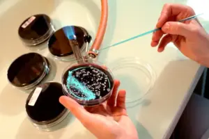 new-york-city-considers-stricter-legionnaires-testing-regulations