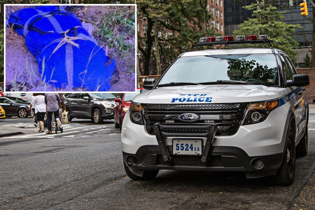 nypd-investigates-dismembered-body-in-queens-with-unique-tattoos