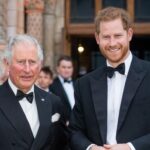prince-harry-urged-to-establish-secret-channel-for-meeting-king-charles