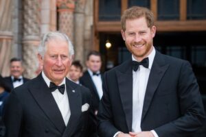 prince-harry-urged-to-establish-secret-channel-for-meeting-king-charles