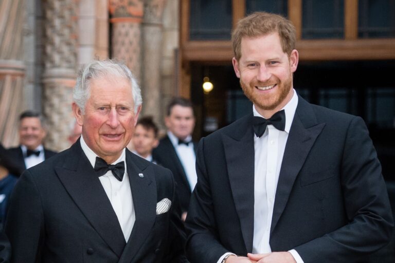 prince-harry-urged-to-establish-secret-channel-for-meeting-king-charles