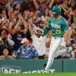 red-sox-clinch-playoff-spot-with-dramatic-walk-off-win