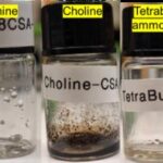 researchers-discover-ionic-liquids-could-replace-water-in-life