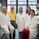 researchers-discover-new-obesity-treatment-by-activating-brown-fat