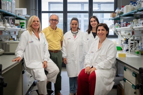 researchers-discover-new-obesity-treatment-by-activating-brown-fat