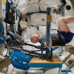 researchers-explore-spaceflight-s-impact-on-muscle-decline