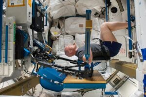 researchers-explore-spaceflight-s-impact-on-muscle-decline