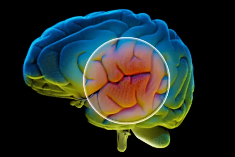 researchers-identify-brain-protein-that-could-reverse-memory-loss
