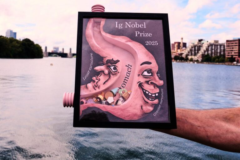researchers-win-ig-nobel-for-painting-cows-to-prevent-fly-bites