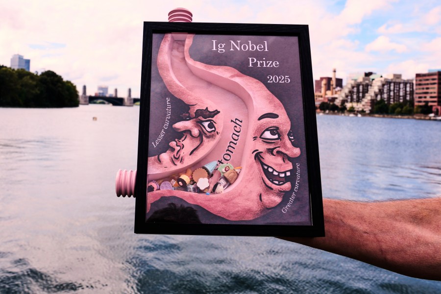 researchers-win-ig-nobel-for-painting-cows-to-prevent-fly-bites