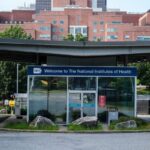 scientists-allege-vaccine-policy-interference-at-n-i-h-