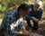 scientists-engineer-mice-to-combat-lyme-disease-on-nantucket