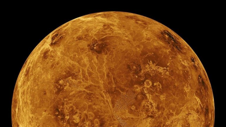 scientists-unveil-new-insights-into-venus-mysterious-coronae