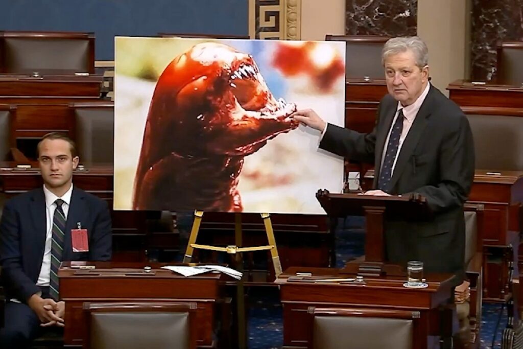 senator-warns-of-radioactive-shrimp-threat-with-movie-analogy
