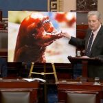 senator-warns-of-radioactive-shrimp-threat-with-movie-analogy