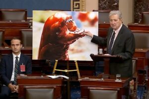 senator-warns-of-radioactive-shrimp-threat-with-movie-analogy