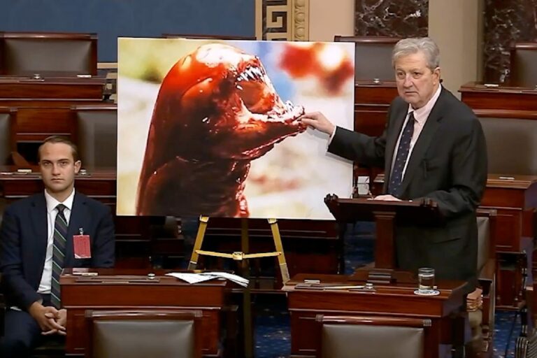 senator-warns-of-radioactive-shrimp-threat-with-movie-analogy