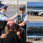 shark-attack-claims-life-of-beachgoer-near-sydney