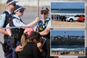 shark-attack-claims-life-of-beachgoer-near-sydney