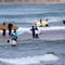 shark-attack-kills-surfer-urgent-beach-closures-in-sydney