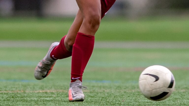 skye-trainor-leads-dwight-englewood-to-8-1-victory-over-wood-ridge