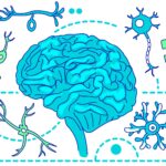 study-links-human-evolution-to-rising-autism-rates