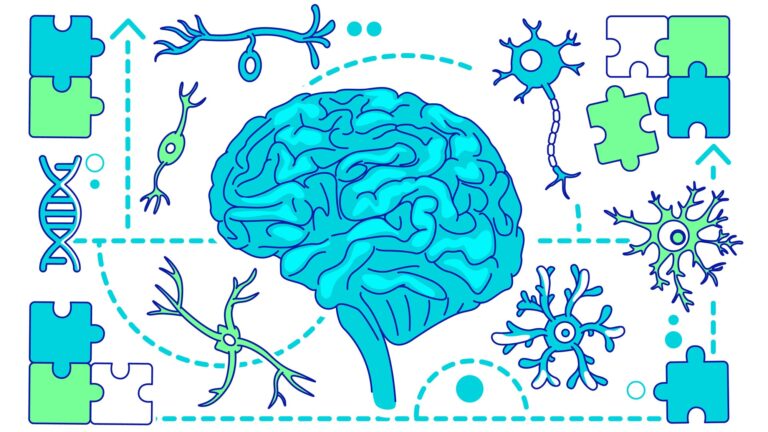 study-links-human-evolution-to-rising-autism-rates