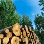 sweden-and-finland-push-for-relaxed-eu-climate-targets-amid-economic-concerns