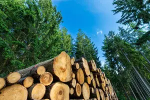 sweden-and-finland-push-for-relaxed-eu-climate-targets-amid-economic-concerns
