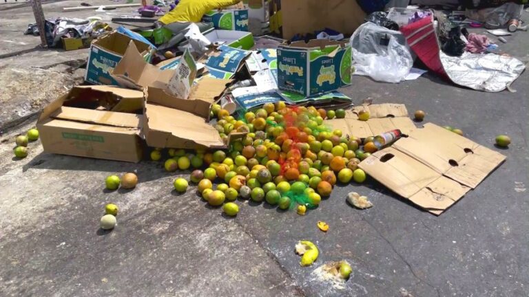 urgent-cleanup-efforts-underway-as-l-a-streets-overflow-with-rotting-produce