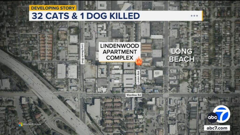 urgent-fire-claims-lives-of-32-cats-and-a-dog-in-long-beach