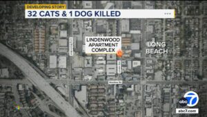 urgent-fire-claims-lives-of-32-cats-and-a-dog-in-long-beach