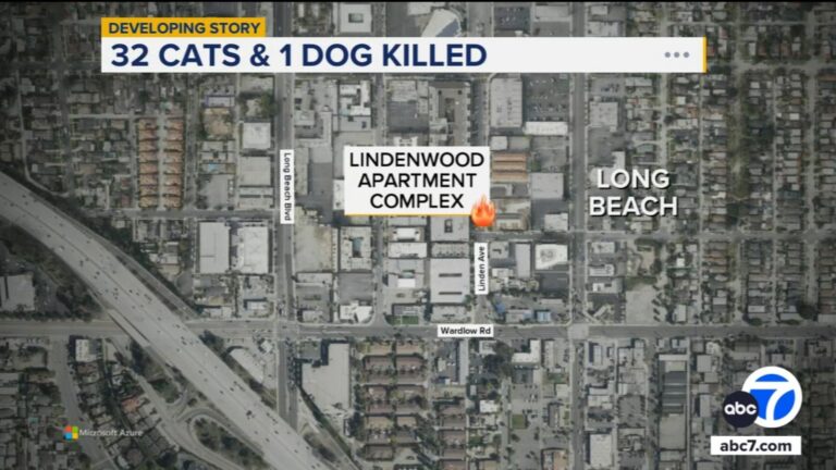 urgent-fire-claims-lives-of-32-cats-and-a-dog-in-long-beach