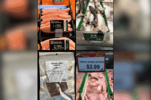 urgent-warning-shark-meat-sales-threaten-endangered-species
