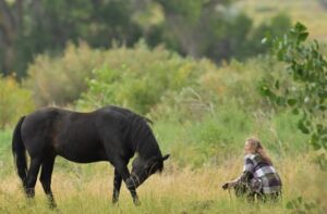 woman-strives-to-rescue-abandoned-wild-horse-near-florence