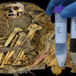 ancient-microbiome-discovered-in-1-000-year-old-remains-in-mexico