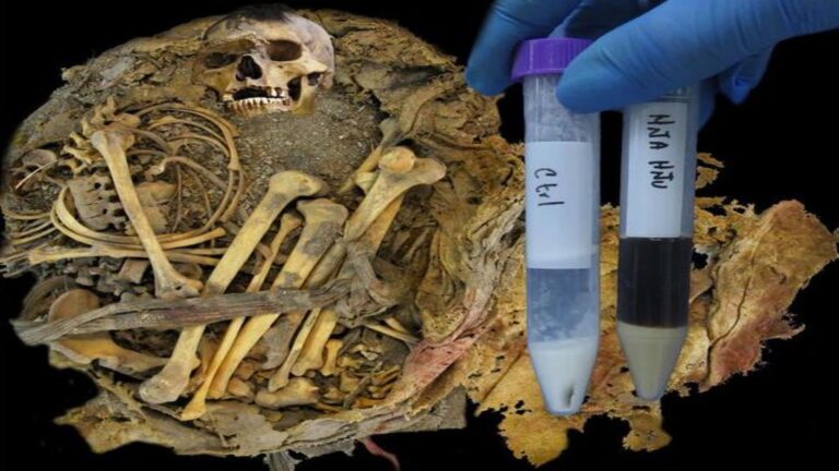 ancient-microbiome-discovered-in-1-000-year-old-remains-in-mexico