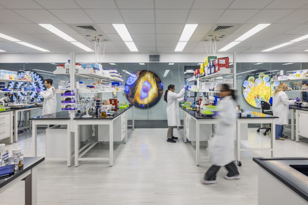 asimov-introduces-advanced-aav-producer-cell-lines-for-gene-therapy