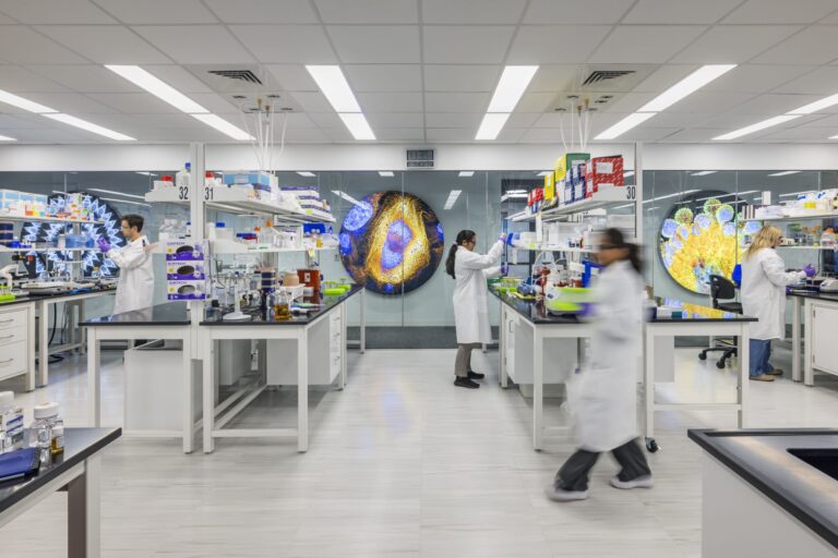 asimov-introduces-advanced-aav-producer-cell-lines-for-gene-therapy