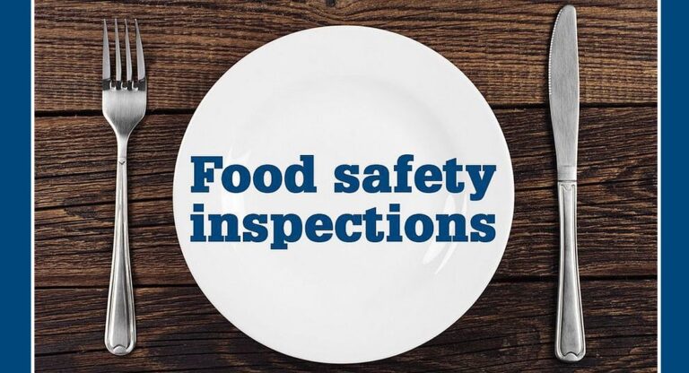 berks-county-inspections-reveal-pest-activity-in-two-restaurants