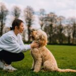 canine-expert-reveals-effective-recall-training-techniques-on-tiktok