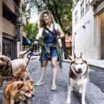 canine-expert-reveals-top-three-breeds-for-perfect-companionship
