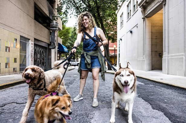 canine-expert-reveals-top-three-breeds-for-perfect-companionship