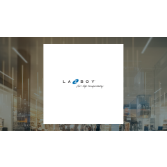 comparing-investments-man-wah-and-la-z-boy-in-focus