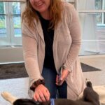 corgi-shepherd-mix-survives-two-month-journey-reunited-in-illinois