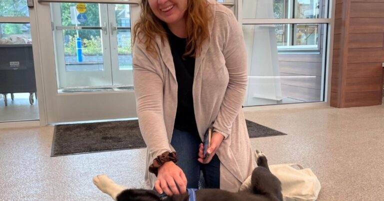 corgi-shepherd-mix-survives-two-month-journey-reunited-in-illinois